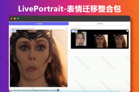LivePortrait-表情迁移整合包