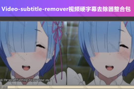 Video-subtitle-remover-视频硬字幕去除器整合包