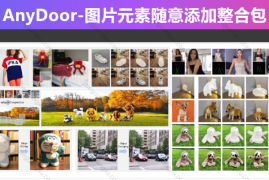AnyDoor-图片元素随意添加整合包