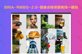 BRIA-RMBG-2.0-图像去除背景离线一键包